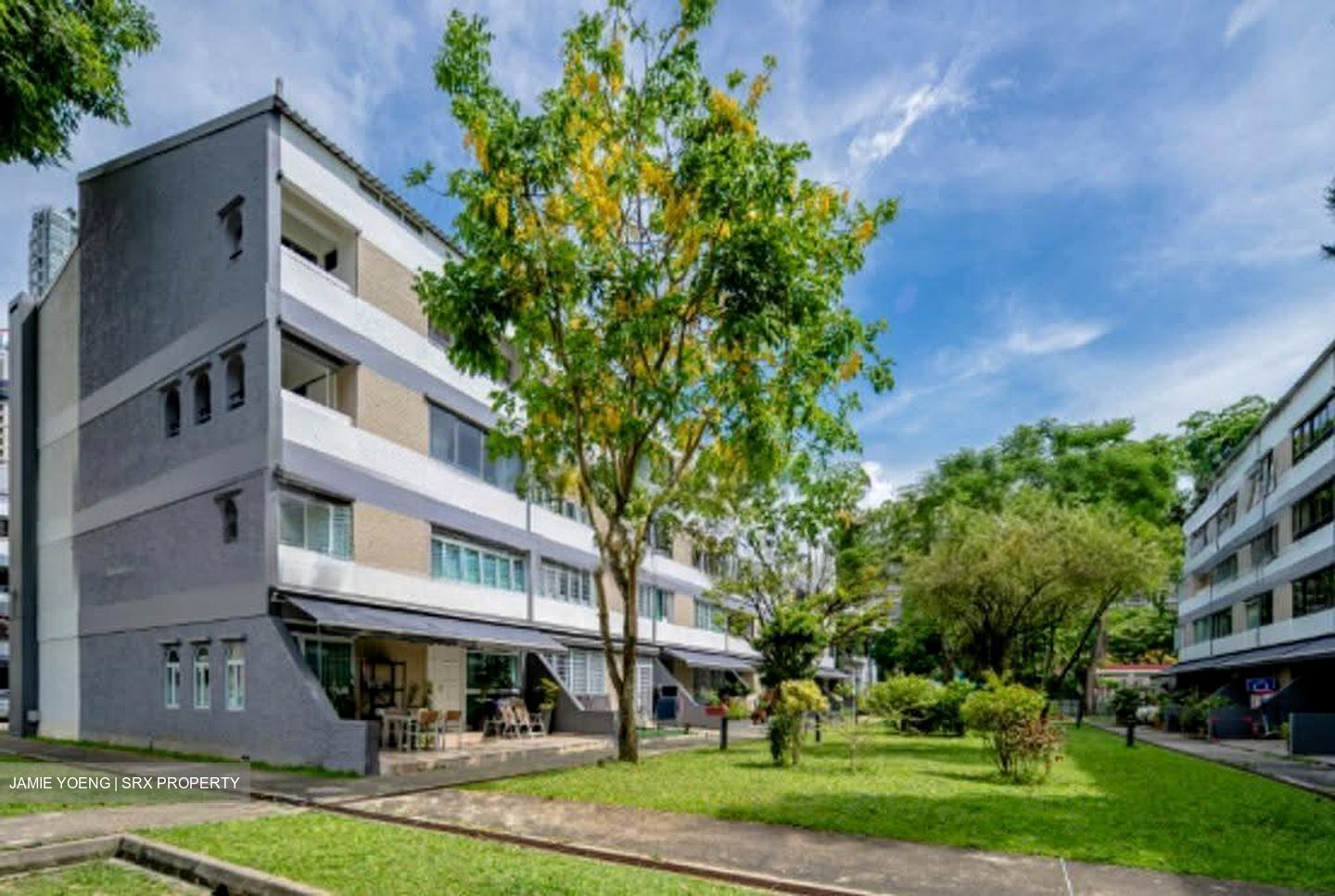 Dunearn Road (D11), Condominium #617777471